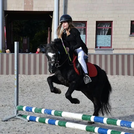 Haras Des Chartreux 호텔 Estaimbourg