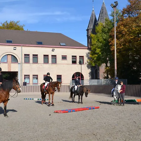Haras Des Chartreux Estaimbourg