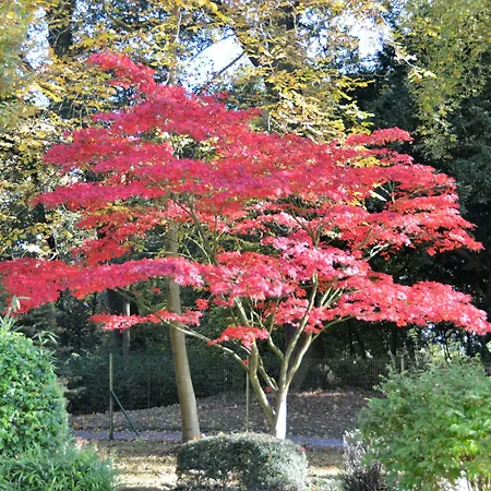 호텔 Haras Des Chartreux Estaimbourg