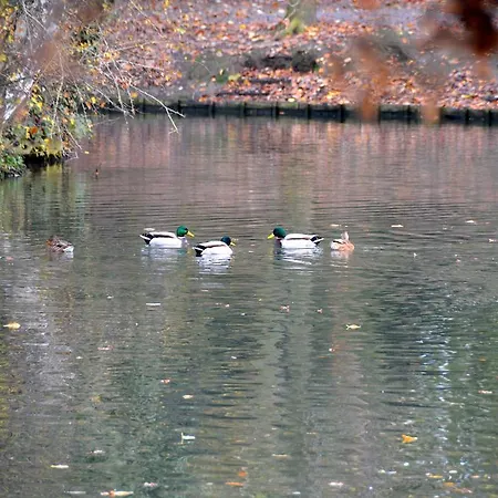 Haras Des Chartreux 호텔
