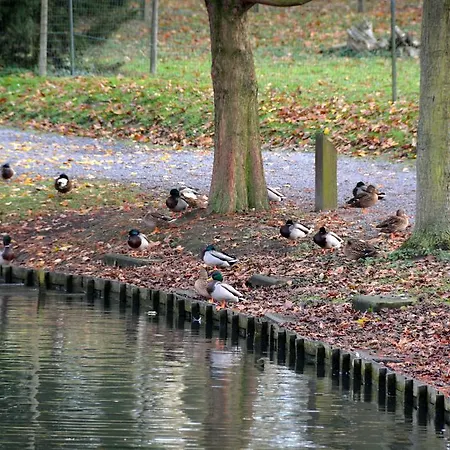 Hotel Haras Des Chartreux Estaimbourg
