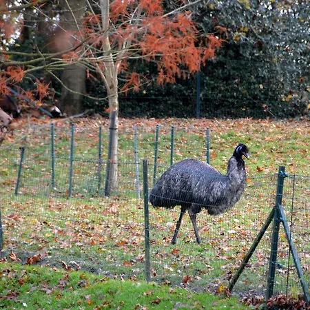 Haras Des Chartreux Estaimbourg