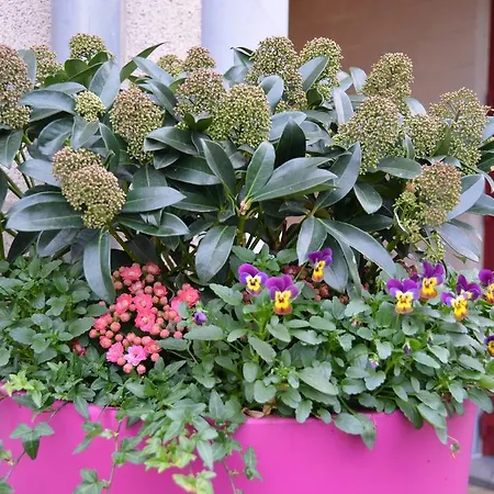 Haras Des Chartreux 3*