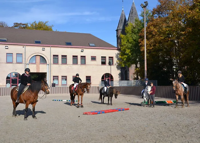 Haras Des Chartreux Estaimbourg