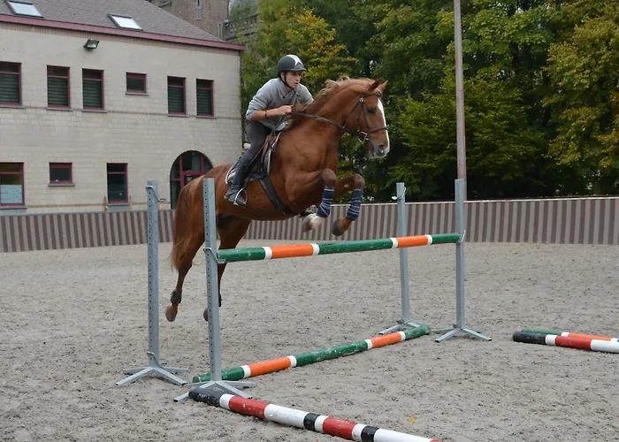 Haras Des Chartreux Hotel 3*