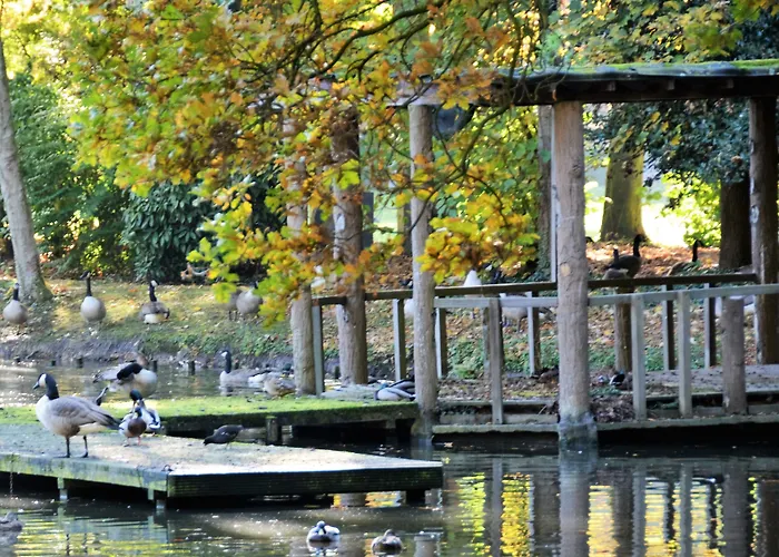 Haras Des Chartreux Hotel Estaimbourg