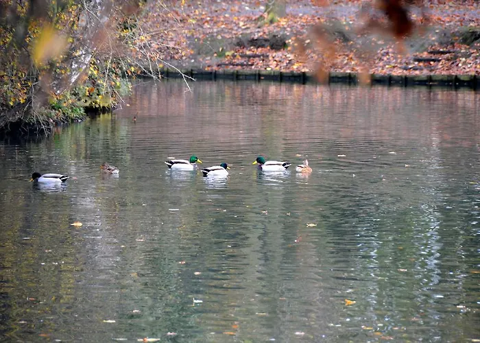 Haras Des Chartreux Hotel