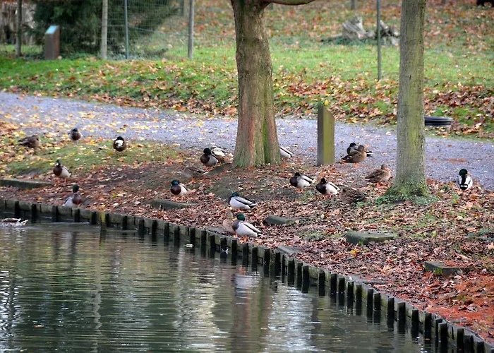 호텔 Haras Des Chartreux Estaimbourg
