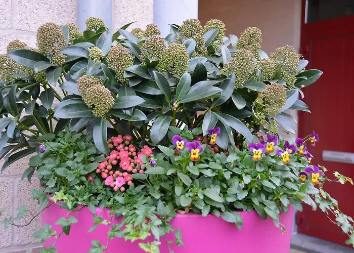 Haras Des Chartreux 3*